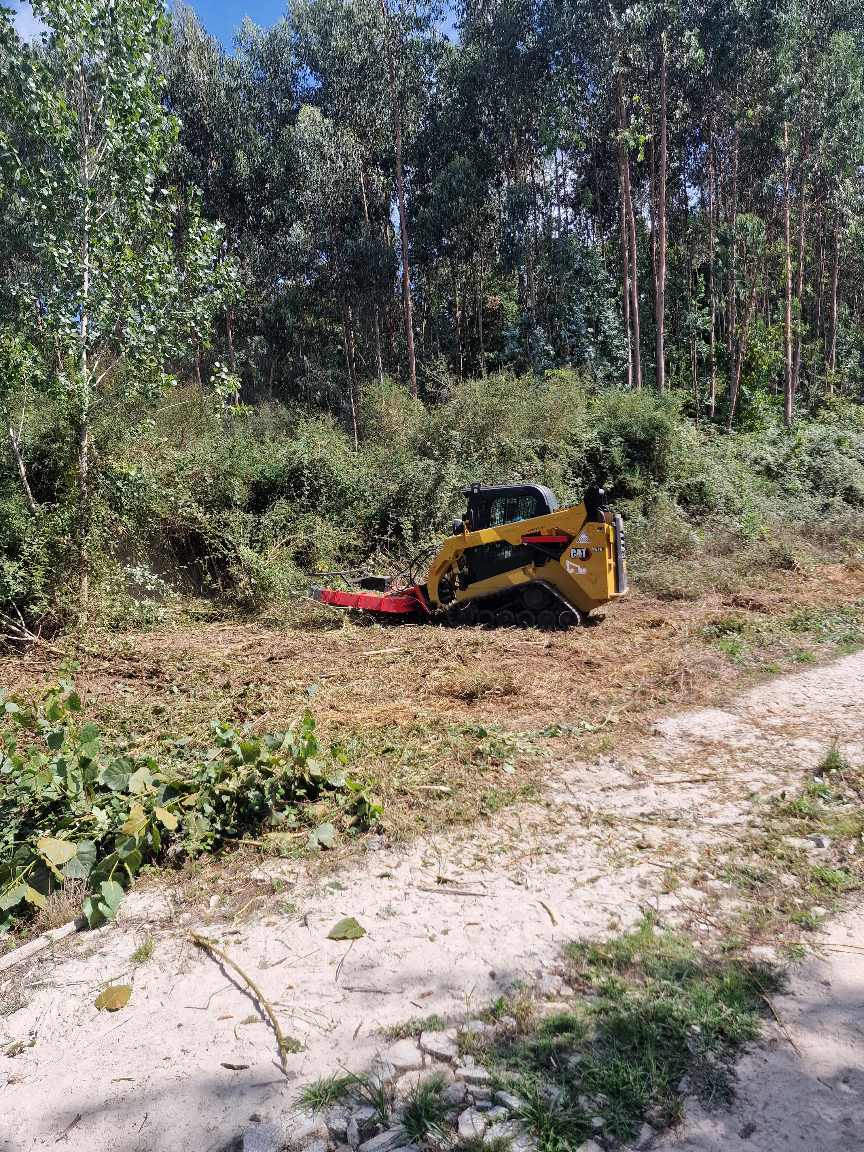 Cat 257 em limpeza de monte